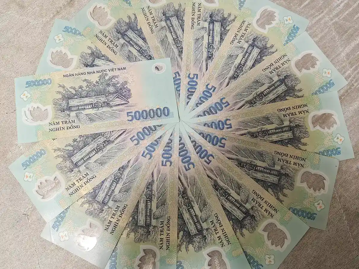 Several Vietnamese 500,000 dong notes